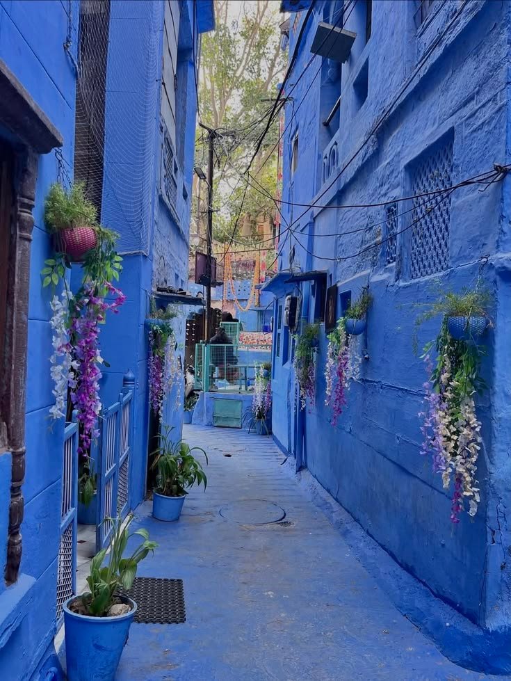 bluecity🦋